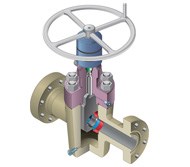 wom-gate-valve